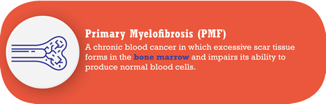 Primary Myelofibrosis (PMF)