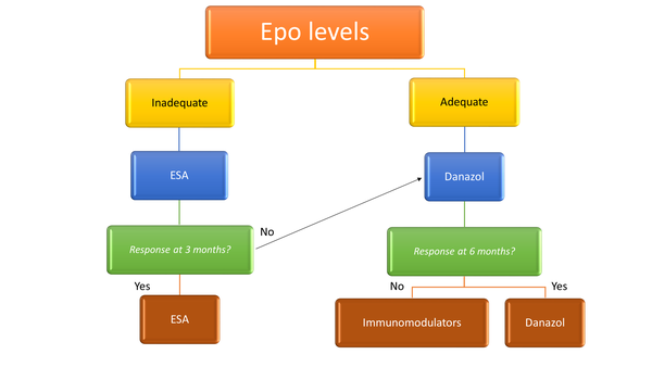 Treatment algorithm for myelofibrosis-related anemia