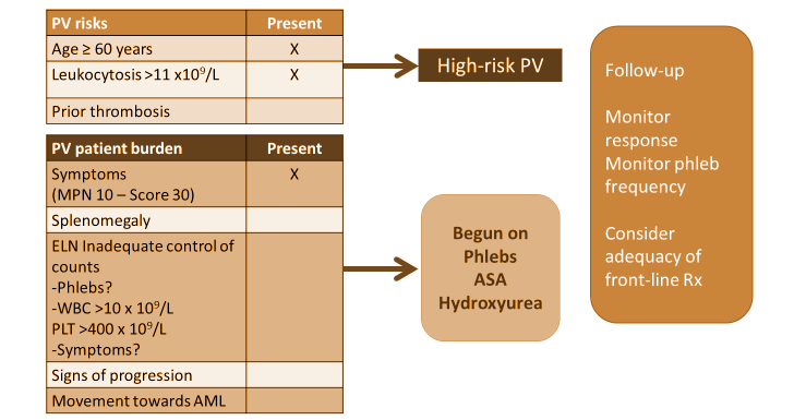 Considerations for treatment decision-making for patients with polycythemia vera